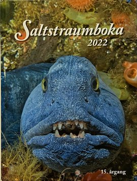 Omslag - Saltstraumboka 2022