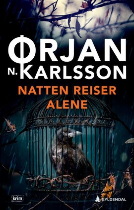 Omslag - Natten reiser alene